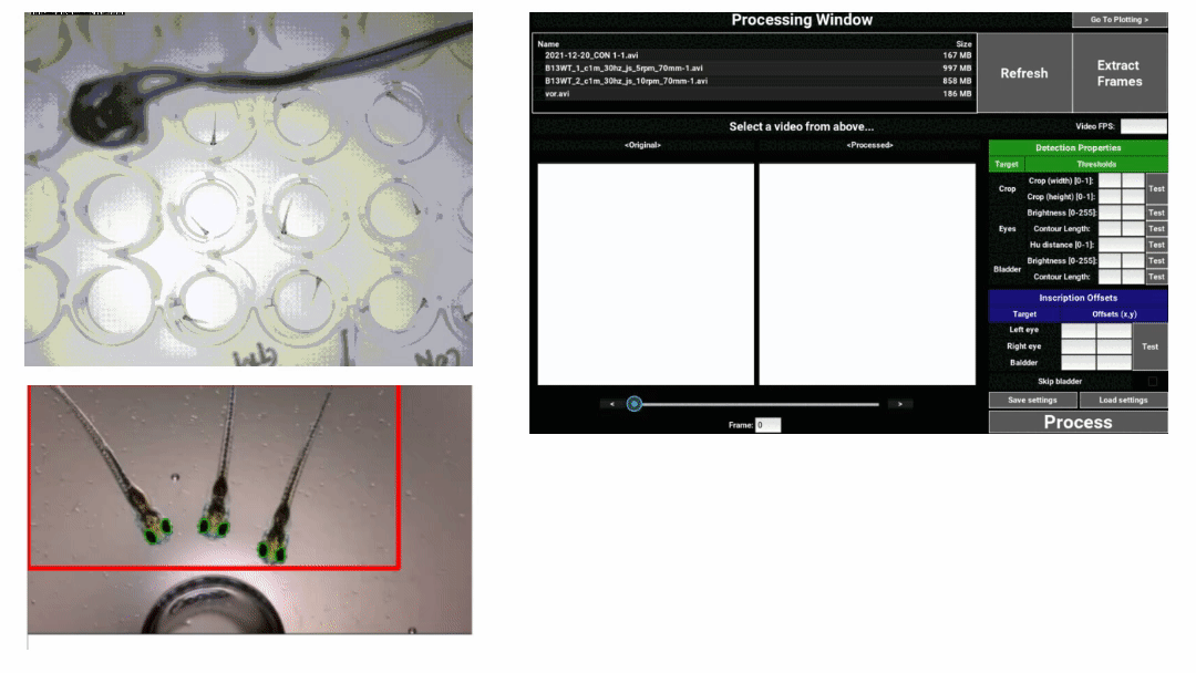 Zebrafish 진단 자료를 위한 생체신호 실시간 분석 프레임워크